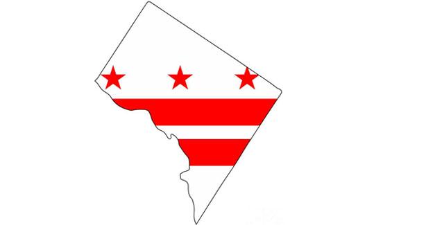 Image of DC flag